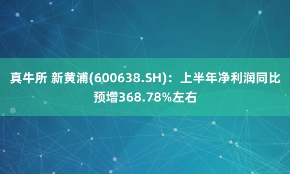 真牛所 新黄浦(600638.SH)：上半年净利润同比预增368.78%左右