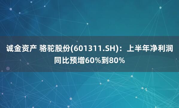 诚金资产 骆驼股份(601311.SH)：上半年净利润同比预增60%到80%