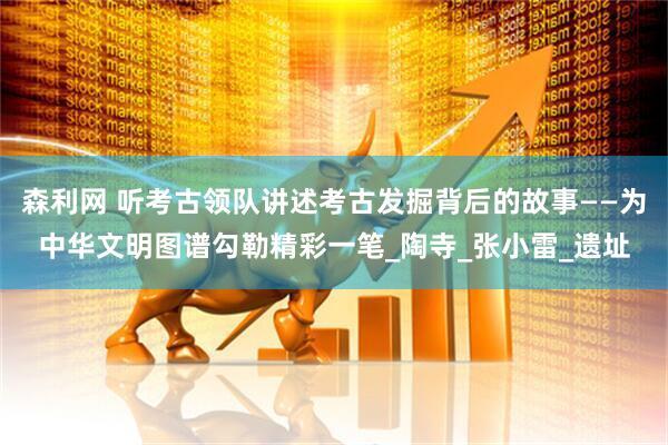 森利网 听考古领队讲述考古发掘背后的故事——为中华文明图谱勾勒精彩一笔_陶寺_张小雷_遗址